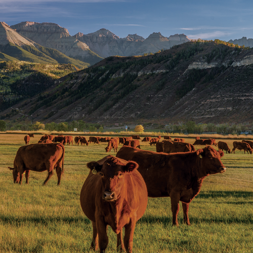 Environment, Labor, and Safety 2026